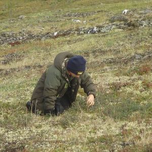 Meet your Posher, Bridget